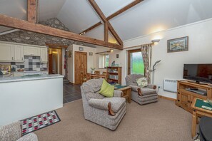 Télévision, cheminée, livres