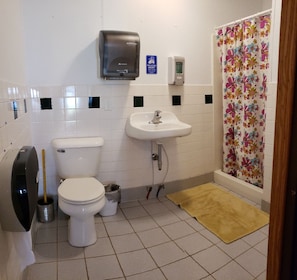 Ducha, jabón, papel higiénico
