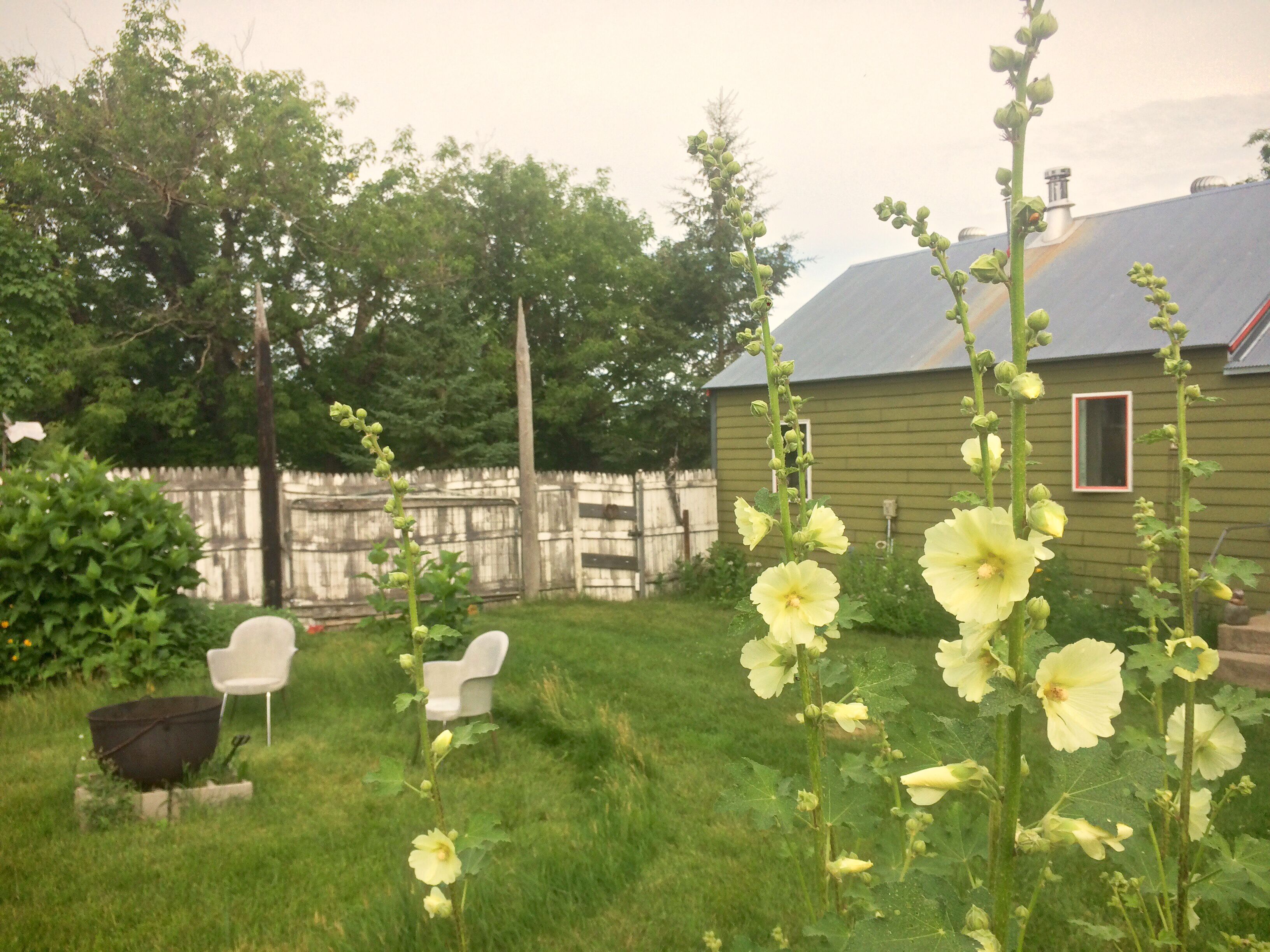 A Rural Tiny House Sanctuary!