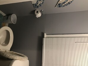 Suihkun ja ammeen yhdistelmä, hiustenkuivaaja, pyyhkeet, saippua