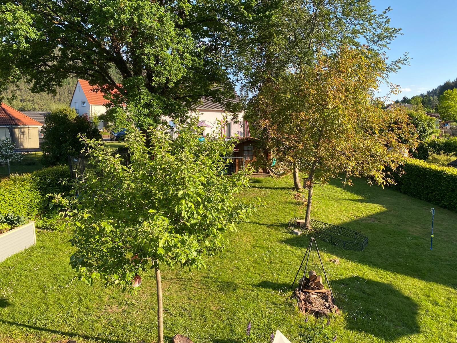 A well-maintained garden with a variety of trees and shrubs, a lawn, and a small wooden structure.