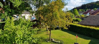 Vacation apartment time out! In the middle of the Palatinate Forest.