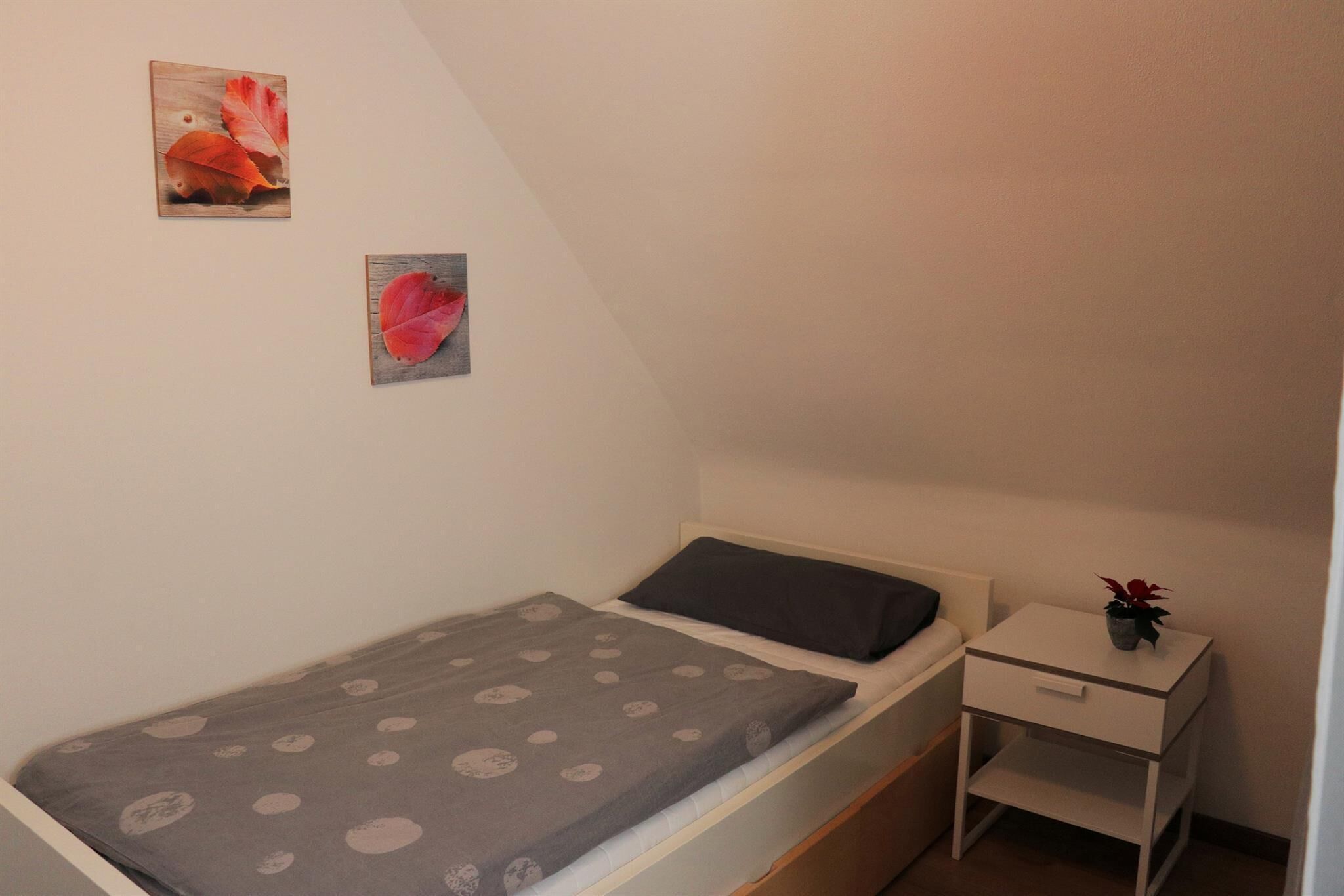 Una habitación pequeña con una cama individual y edredón gris con lunares, una mesita de noche con una planta y dos cuadros colgados en la pared.