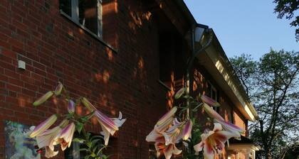 Auszeit Op Lemmermanns Hoff