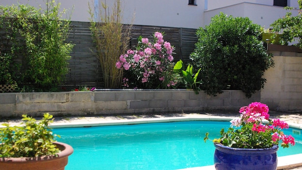 Una piscina circondata da piante in vaso e un muro in pietra.