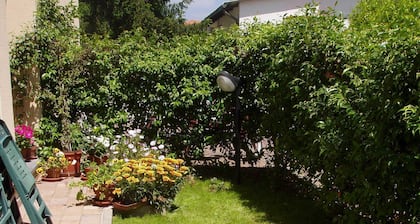 Two-room apartment 500 m from the airport