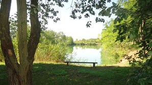 A bench by a calm lake surrounded by trees and grass.