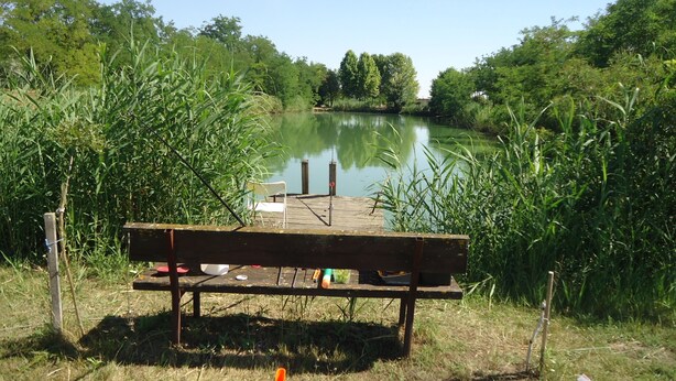 A wooden bench by a calm lake surrounded by lush greenery.