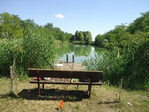 Un banc en bois, au bord d’un lac paisible, entouré d’une végétation luxuriante.