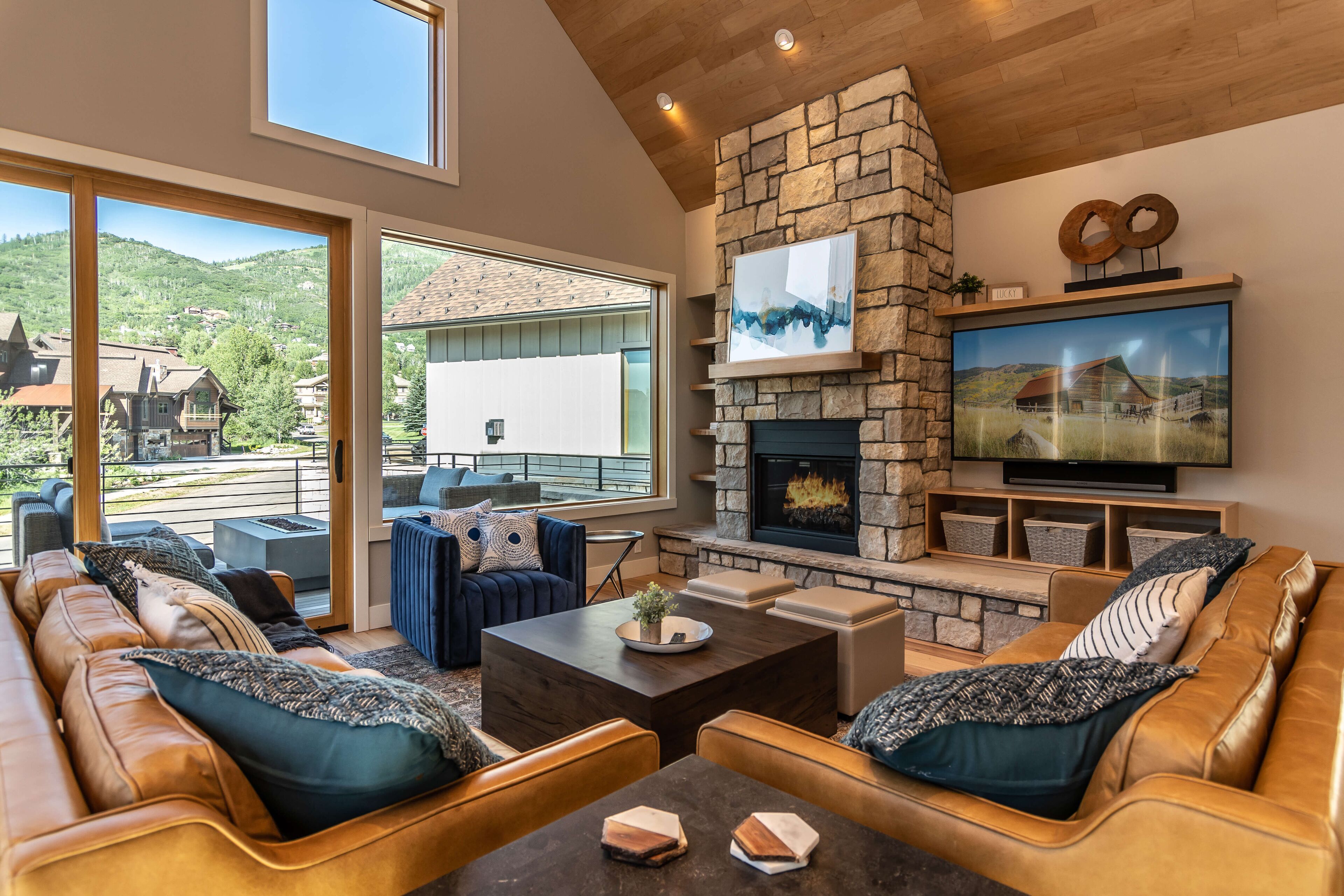 Smart TV, fireplace, video games, books