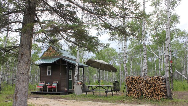 Une cabane rustique avec un toit végétalisé, une table de pique-nique et une pile de bois de chauffage.