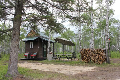 Micro-cabin nestled in secluded forest
