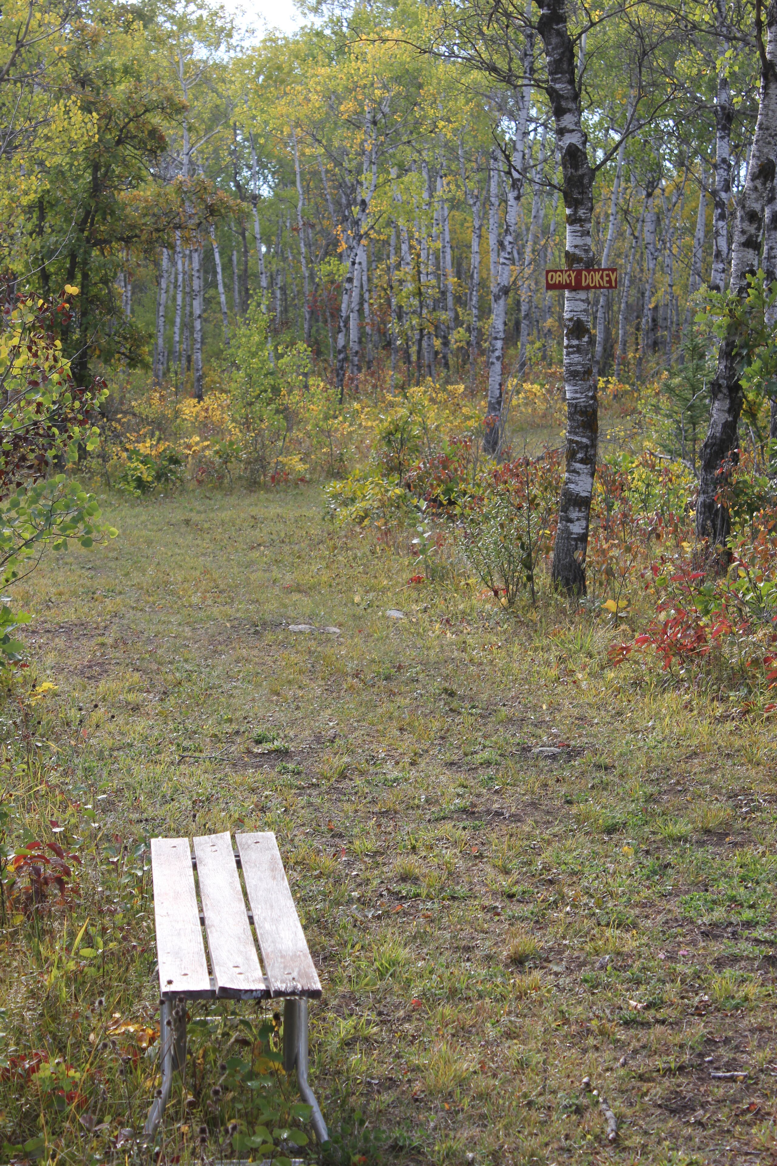 A wooden bench in a forested area with a sign reading "OAKY DOKY".
