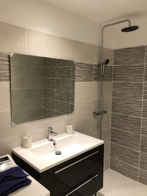 Douche, séchoir à cheveux, savon, papier de toilette