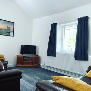 Smart TV, caminetto, lettore DVD, libri