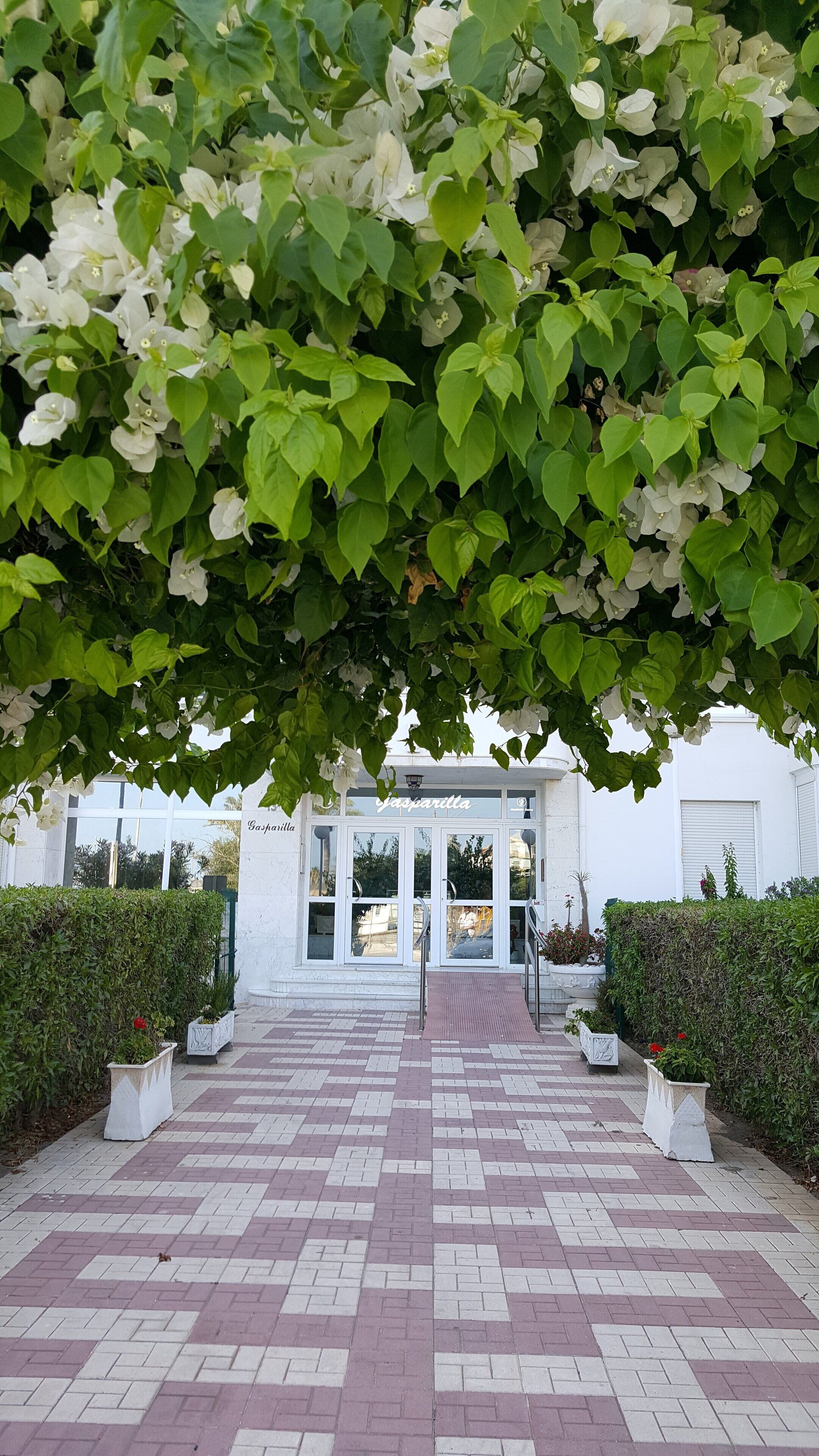 Exterior detail