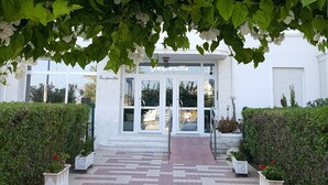 Un sendero conduce a un edificio de fachada blanca y puertas de vidrio, rodeado de exuberante follaje y flores blancas.