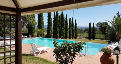 Montecarlo, 1.5 acres, private pool, walk to restaurants. WIFI Close Lucca