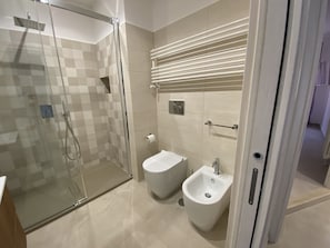 Shower, hair dryer, bidet, towels
