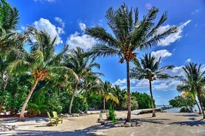 A beach area with palm trees, a concrete path, and a chair.