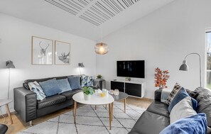 TV, lareira