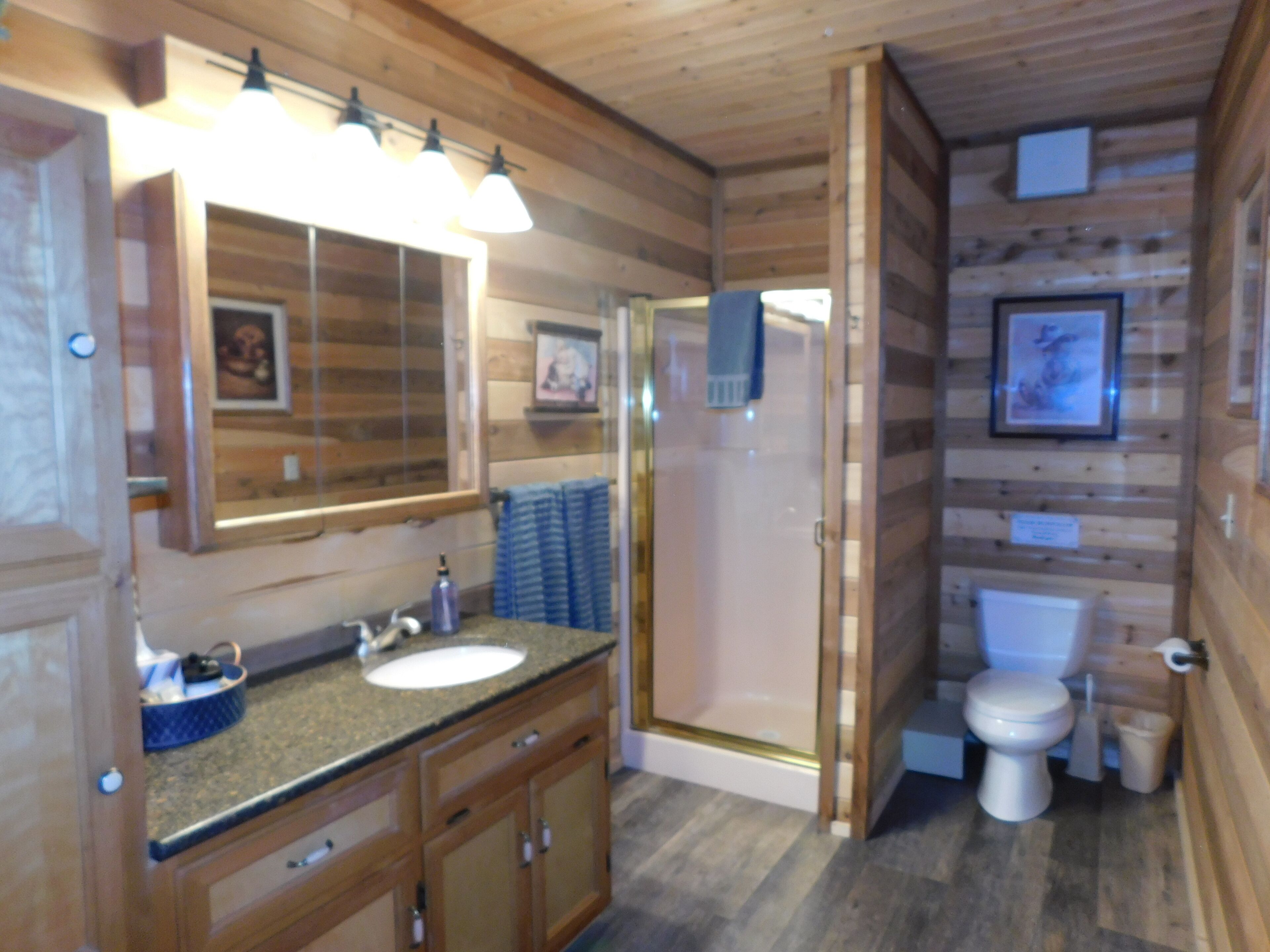 Combined shower/tub, hair dryer, towels, soap
