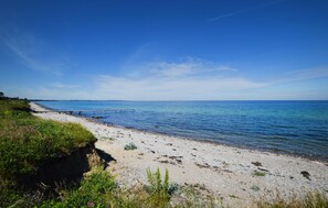 Une plage côtière avec une jetée en bois qui s’avance dans l’eau, entourée de zones verdoyantes et sous un ciel bleu dégagé.