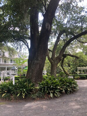 Enceinte de l’hébergement