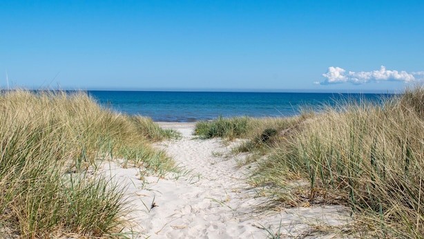 Een zandpad langs het strand, omgeven door gras.