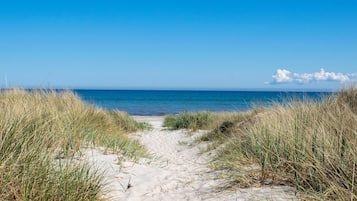 Una playa cerca, pesca