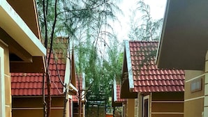 Une rue résidentielle bordée de maisons, avec un chemin en béton et de la verdure.