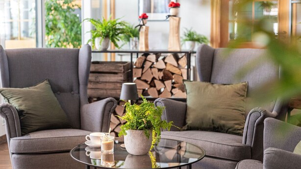 A modern living room with a grey sofa, a glass coffee table, a potted plant, and a fireplace with a log fire.