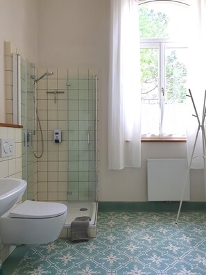 Shower, hair dryer, towels, soap