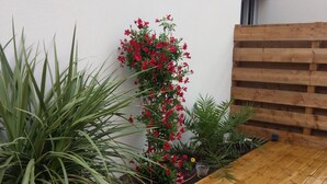 Een houten terras met een plantenbak gevuld met rode bloemen en groene bladeren.