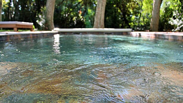 Vista clara de una piscina con terraza de madera y árboles al fondo.