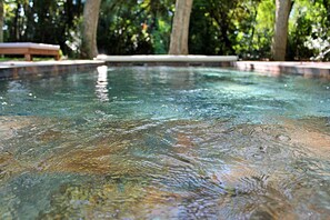 Outdoor pool - Character house set in 1 ha of listed parkland (Marsillargues)