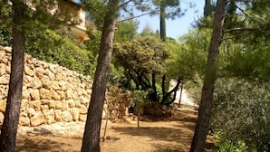 Un mur de pierres et des arbres dans un environnement naturel.