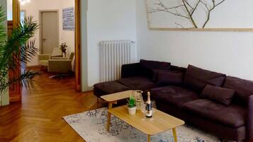 Fernseher, Kamin