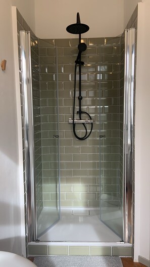 Shower, towels, toilet paper