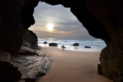 Au coeur de la foret, les gites du Lety vous accueillent dans un cadre préservé.