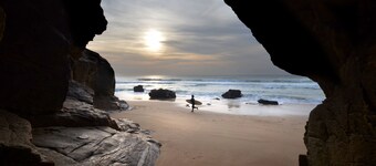 In the heart of the forest, the Lety gites welcome you to an unspoilt setting.