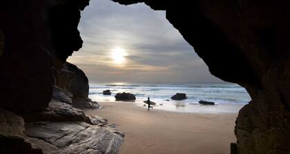 In the heart of the forest, the Lety gites welcome you to an unspoilt setting.