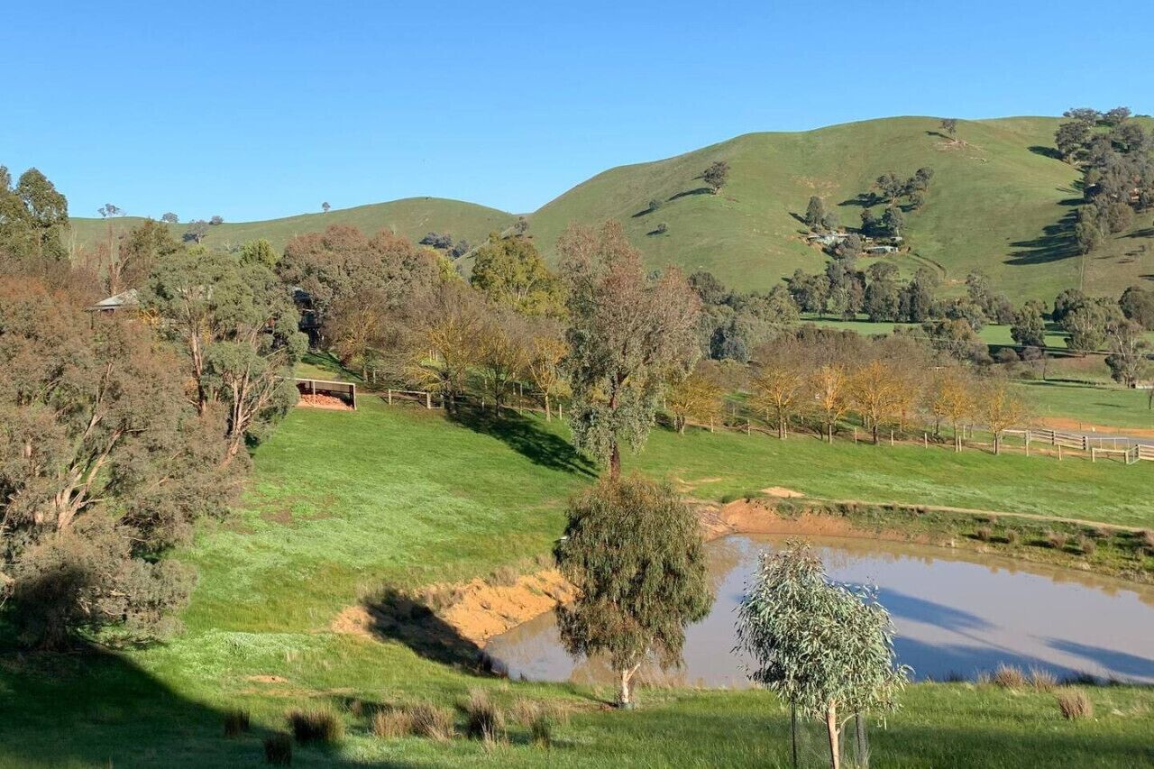 Ländliche Landschaft mit sanften Hügeln, einem Teich und vereinzelten Bäumen.
