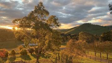 A rural landscape with a prominent tree, rolling hills, and a fence.