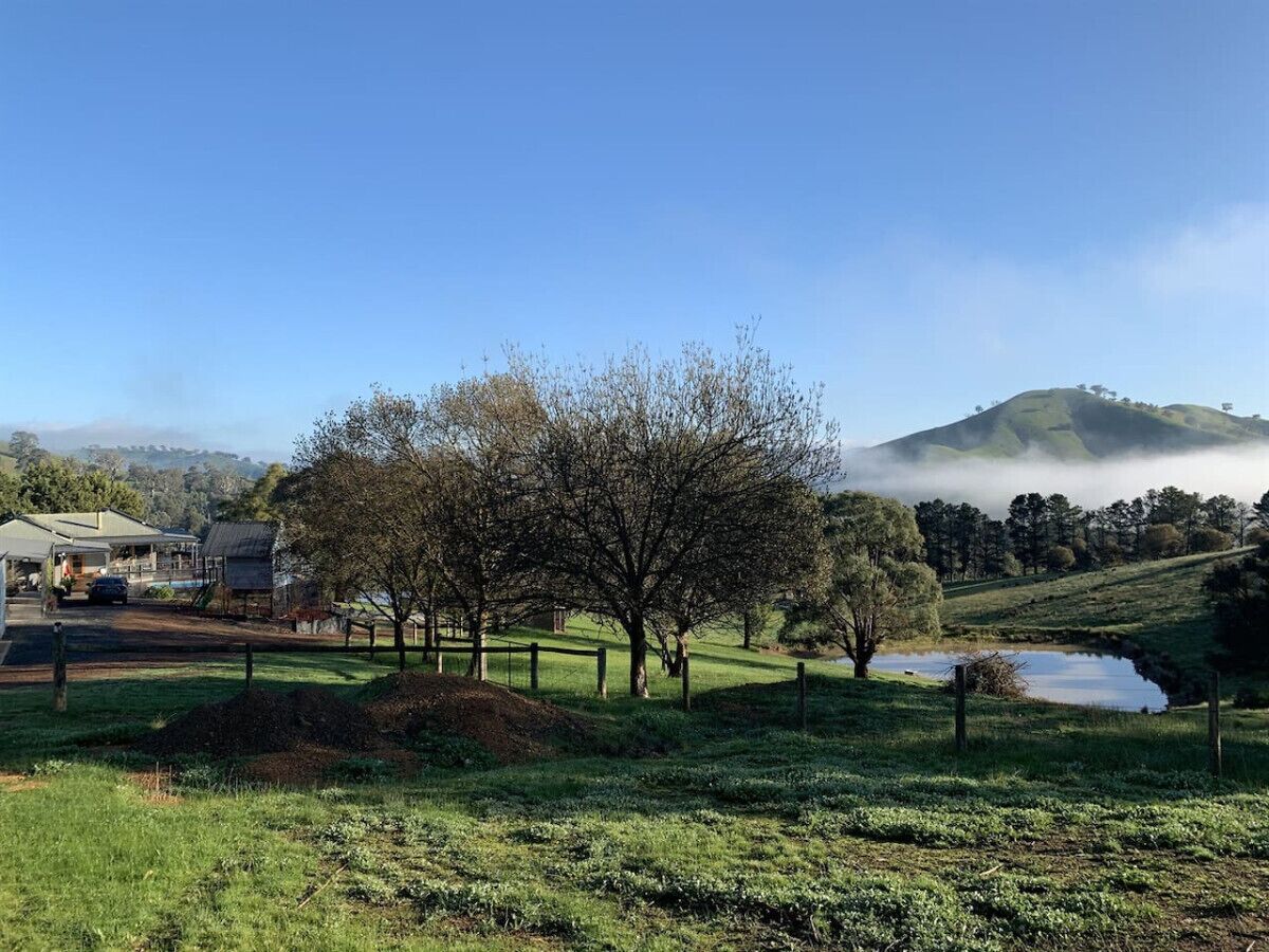 Paisagem rural com uma casa, árvores, cerca e um corpo d'água.