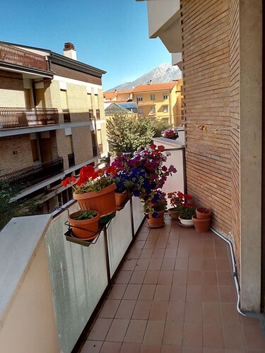 The House of Edi (in the center of Avezzano)