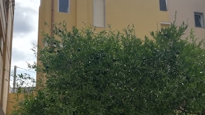 Ein gelbes Gebäude mit einem Baum davor.