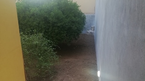 Ein schmaler Außenkorridor mit einem gepflasterten Weg, der zu einem kleinen Garten mit dichtem Grün führt.