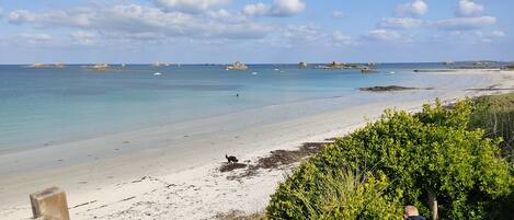 En la playa y camastros