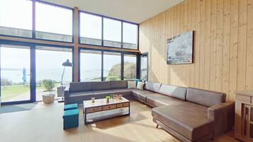 TV connectée, cheminée, lecteur de DVD, chaßne hi-fi